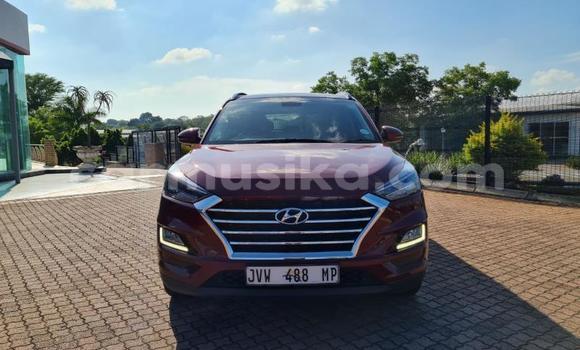 Acheter Occasion Voiture Hyundai Tucson Rouge à Beitbridge, Matabeleland South Acheter Occasion Voiture Hyundai Tucson Rouge à Beitbridge, Matabeleland South