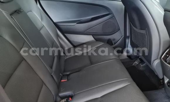 Acheter Occasion Voiture Hyundai Tucson Rouge à Beitbridge, Matabeleland South Acheter Occasion Voiture Hyundai Tucson Rouge à Beitbridge, Matabeleland South