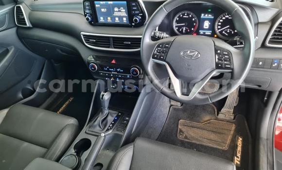 Acheter Occasion Voiture Hyundai Tucson Rouge à Beitbridge, Matabeleland South Acheter Occasion Voiture Hyundai Tucson Rouge à Beitbridge, Matabeleland South