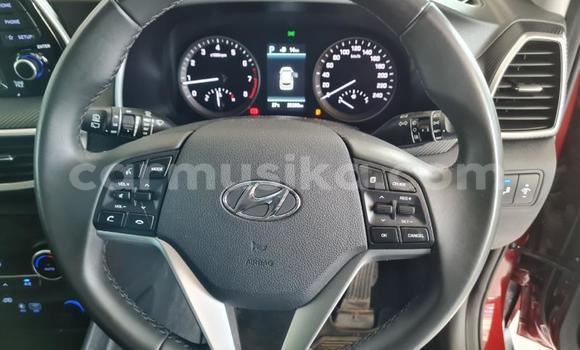Acheter Occasion Voiture Hyundai Tucson Rouge à Beitbridge, Matabeleland South Acheter Occasion Voiture Hyundai Tucson Rouge à Beitbridge, Matabeleland South