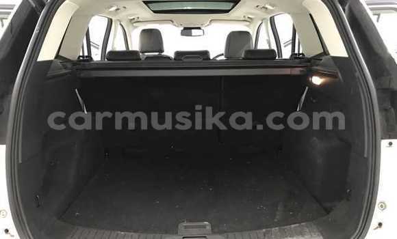 Acheter Occasion Voiture Ford Kuga Blanc à Beitbridge, Matabeleland South Acheter Occasion Voiture Ford Kuga Blanc à Beitbridge, Matabeleland South