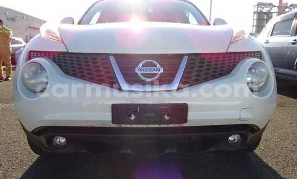 Tenga Tsaru Nissan Juke Chena Mota in Beitbridge in Matabeleland South