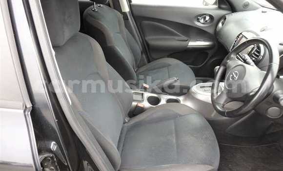 Buy Used Nissan Juke Other Car in Beitbridge in Matabeleland South Buy Used Nissan Juke Other Car in Beitbridge in Matabeleland South