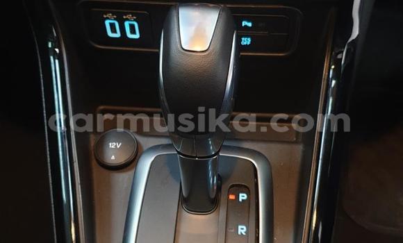 Tenga Tsaru Ford EcoSport Bhuruu Mota in Beitbridge in Matabeleland South Tenga Tsaru Ford EcoSport Bhuruu Mota in Beitbridge in Matabeleland South