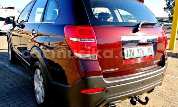 Acheter Occasion Voiture Chevrolet Captiva Rouge à Beitbridge, Matabeleland South Acheter Occasion Voiture Chevrolet Captiva Rouge à Beitbridge, Matabeleland South