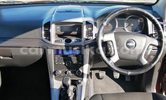 Acheter Occasion Voiture Chevrolet Captiva Rouge à Beitbridge, Matabeleland South Acheter Occasion Voiture Chevrolet Captiva Rouge à Beitbridge, Matabeleland South