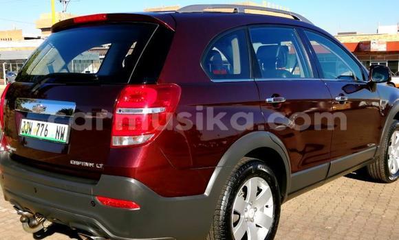 Acheter Occasion Voiture Chevrolet Captiva Rouge à Beitbridge, Matabeleland South Acheter Occasion Voiture Chevrolet Captiva Rouge à Beitbridge, Matabeleland South