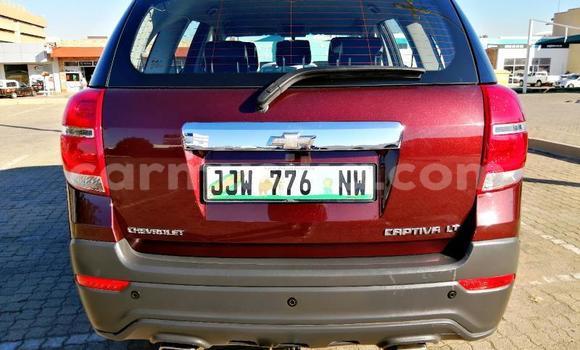 Acheter Occasion Voiture Chevrolet Captiva Rouge à Beitbridge, Matabeleland South Acheter Occasion Voiture Chevrolet Captiva Rouge à Beitbridge, Matabeleland South