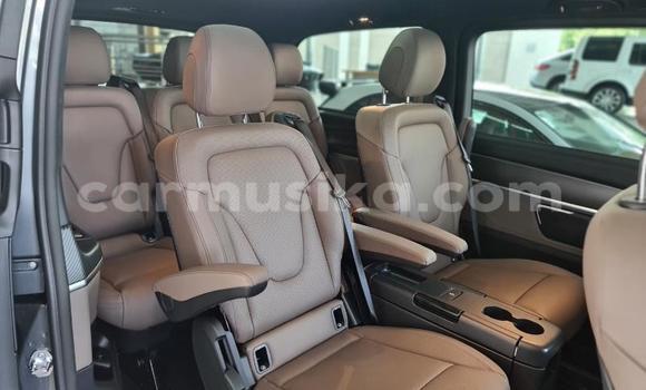 Tenga Tsaru Mercedes‒Benz V-klasse Zvimwe Mota in Beitbridge in Matabeleland South Tenga Tsaru Mercedes‒Benz V-klasse Zvimwe Mota in Beitbridge in Matabeleland South