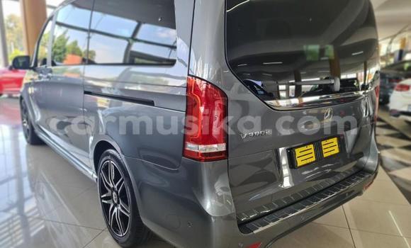 Tenga Tsaru Mercedes‒Benz V-klasse Zvimwe Mota in Beitbridge in Matabeleland South Tenga Tsaru Mercedes‒Benz V-klasse Zvimwe Mota in Beitbridge in Matabeleland South