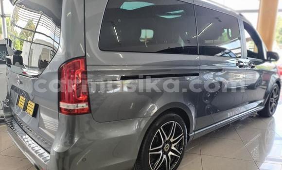 Tenga Tsaru Mercedes‒Benz V-klasse Zvimwe Mota in Beitbridge in Matabeleland South Tenga Tsaru Mercedes‒Benz V-klasse Zvimwe Mota in Beitbridge in Matabeleland South