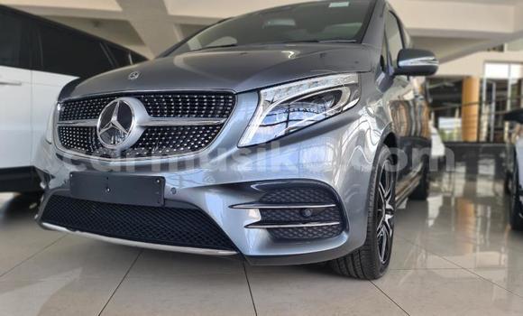 Tenga Tsaru Mercedes‒Benz V-klasse Zvimwe Mota in Beitbridge in Matabeleland South Tenga Tsaru Mercedes‒Benz V-klasse Zvimwe Mota in Beitbridge in Matabeleland South