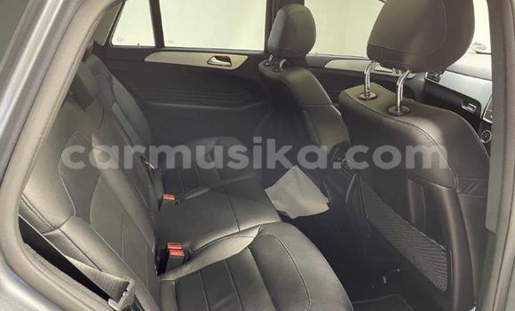 Tenga Tsaru Mercedes‒Benz GLE Zvimwe Mota in Beitbridge in Matabeleland South Tenga Tsaru Mercedes‒Benz GLE Zvimwe Mota in Beitbridge in Matabeleland South