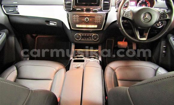 Tenga Tsaru Mercedes‒Benz GLE Chena Mota in Beitbridge in Matabeleland South Tenga Tsaru Mercedes‒Benz GLE Chena Mota in Beitbridge in Matabeleland South