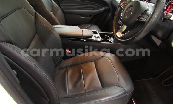 Tenga Tsaru Mercedes‒Benz GLE Chena Mota in Beitbridge in Matabeleland South Tenga Tsaru Mercedes‒Benz GLE Chena Mota in Beitbridge in Matabeleland South