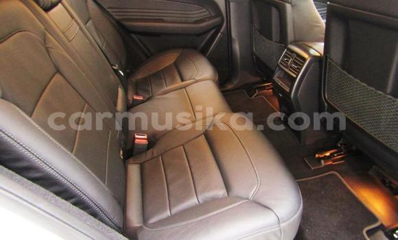 Tenga Tsaru Mercedes‒Benz GLE Chena Mota in Beitbridge in Matabeleland South Tenga Tsaru Mercedes‒Benz GLE Chena Mota in Beitbridge in Matabeleland South