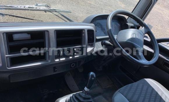 Tenga Tsaru Hino 300 Chena Rori in Beitbridge in Matabeleland South Tenga Tsaru Hino 300 Chena Rori in Beitbridge in Matabeleland South