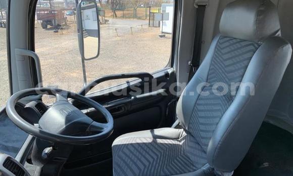 Tenga Tsaru Hino 300 Chena Rori in Beitbridge in Matabeleland South Tenga Tsaru Hino 300 Chena Rori in Beitbridge in Matabeleland South