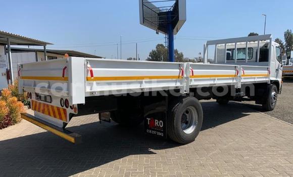 Tenga Tsaru Hino 300 Chena Rori in Beitbridge in Matabeleland South Tenga Tsaru Hino 300 Chena Rori in Beitbridge in Matabeleland South