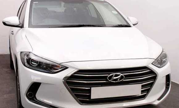 Buy Used Hyundai Elantra White Car in Beitbridge in Matabeleland South
