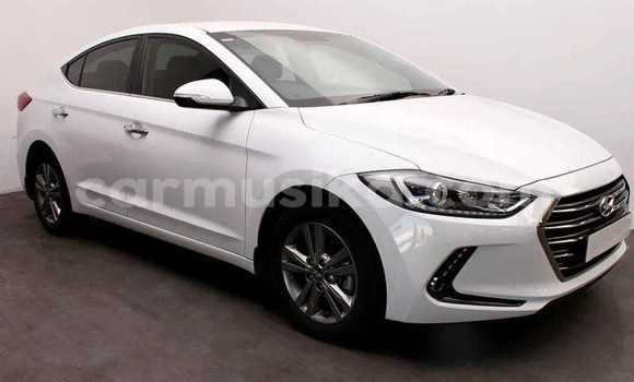 Acheter Occasion Voiture Hyundai Elantra Blanc à Beitbridge, Matabeleland South Acheter Occasion Voiture Hyundai Elantra Blanc à Beitbridge, Matabeleland South