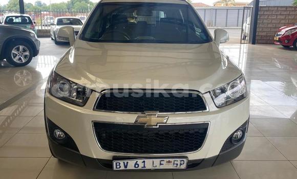 Acheter Occasion Voiture Chevrolet Captiva Blanc à Beitbridge, Matabeleland South