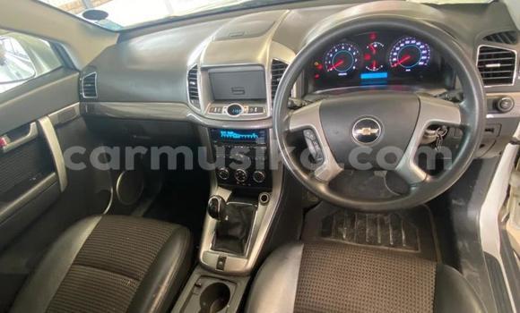 Buy Used Chevrolet Captiva White Car in Beitbridge in Matabeleland South Buy Used Chevrolet Captiva White Car in Beitbridge in Matabeleland South