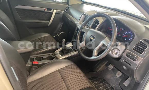 Buy Used Chevrolet Captiva White Car in Beitbridge in Matabeleland South Buy Used Chevrolet Captiva White Car in Beitbridge in Matabeleland South