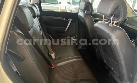 Buy Used Chevrolet Captiva White Car in Beitbridge in Matabeleland South Buy Used Chevrolet Captiva White Car in Beitbridge in Matabeleland South