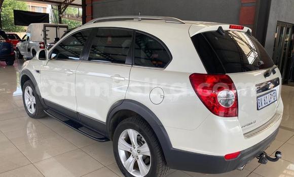 Buy Used Chevrolet Captiva White Car in Beitbridge in Matabeleland South Buy Used Chevrolet Captiva White Car in Beitbridge in Matabeleland South