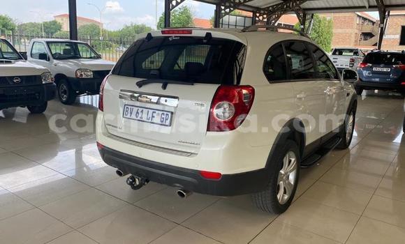 Buy Used Chevrolet Captiva White Car in Beitbridge in Matabeleland South Buy Used Chevrolet Captiva White Car in Beitbridge in Matabeleland South