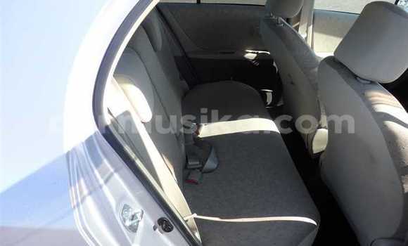 Acheter Occasion Voiture Toyota Vitz Gris à Beitbridge, Matabeleland South Acheter Occasion Voiture Toyota Vitz Gris à Beitbridge, Matabeleland South