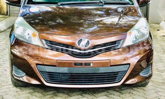 Buy Import Toyota Vitz Brown Car in Harare in Harare Buy Import Toyota Vitz Brown Car in Harare in Harare