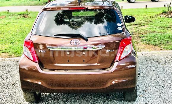 Buy Import Toyota Vitz Brown Car in Harare in Harare Buy Import Toyota Vitz Brown Car in Harare in Harare