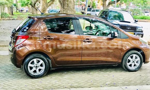 Buy Import Toyota Vitz Brown Car in Harare in Harare Buy Import Toyota Vitz Brown Car in Harare in Harare