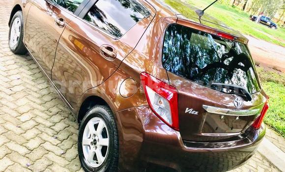 Buy Import Toyota Vitz Brown Car in Harare in Harare Buy Import Toyota Vitz Brown Car in Harare in Harare