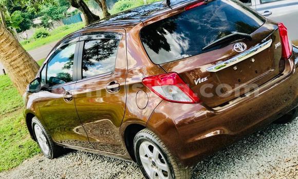 Buy Import Toyota Vitz Brown Car in Harare in Harare Buy Import Toyota Vitz Brown Car in Harare in Harare