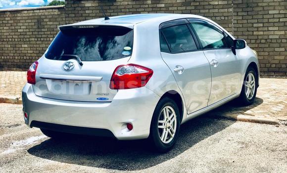 Buy Import Toyota Auris Silver Car in Harare in Harare Buy Import Toyota Auris Silver Car in Harare in Harare