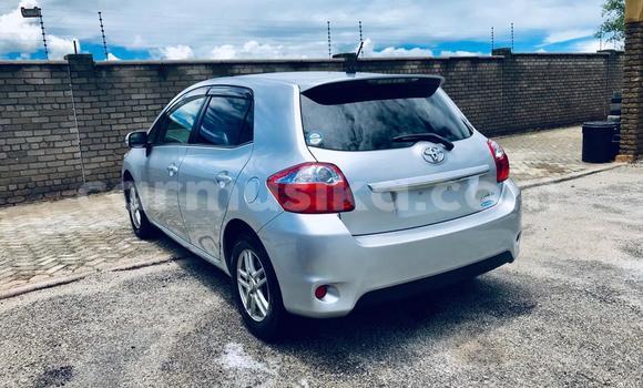 Buy Import Toyota Auris Silver Car in Harare in Harare Buy Import Toyota Auris Silver Car in Harare in Harare