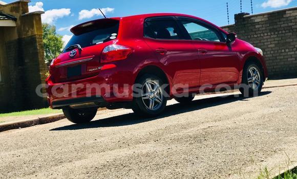 Buy Import Toyota Auris Red Car in Harare in Harare Buy Import Toyota Auris Red Car in Harare in Harare