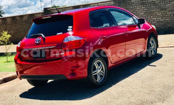 Buy Import Toyota Auris Red Car in Harare in Harare Buy Import Toyota Auris Red Car in Harare in Harare