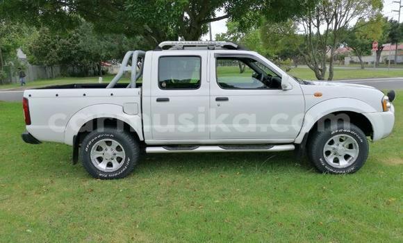 Nunua Ilio tumika Nissan Hardbody Nyeupe Gari ndani ya Beitbridge nchini Matabeleland Kusini Nunua Ilio tumika Nissan Hardbody Nyeupe Gari ndani ya Beitbridge nchini Matabeleland Kusini