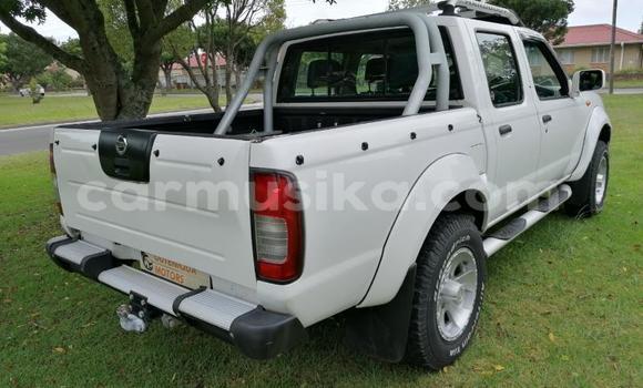 Nunua Ilio tumika Nissan Hardbody Nyeupe Gari ndani ya Beitbridge nchini Matabeleland Kusini Nunua Ilio tumika Nissan Hardbody Nyeupe Gari ndani ya Beitbridge nchini Matabeleland Kusini