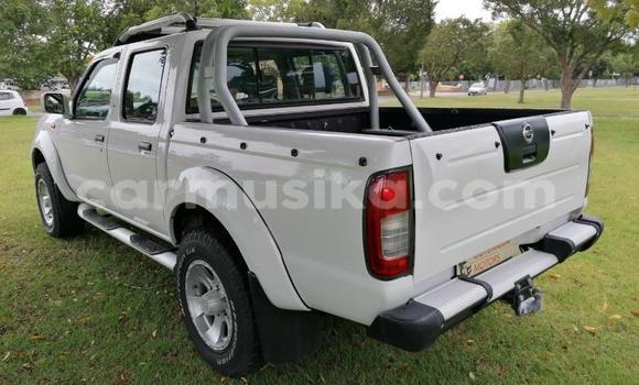 Nunua Ilio tumika Nissan Hardbody Nyeupe Gari ndani ya Beitbridge nchini Matabeleland Kusini Nunua Ilio tumika Nissan Hardbody Nyeupe Gari ndani ya Beitbridge nchini Matabeleland Kusini