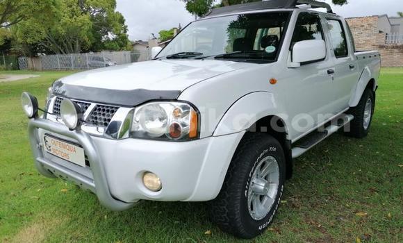 Nunua Ilio tumika Nissan Hardbody Nyeupe Gari ndani ya Beitbridge nchini Matabeleland Kusini Nunua Ilio tumika Nissan Hardbody Nyeupe Gari ndani ya Beitbridge nchini Matabeleland Kusini