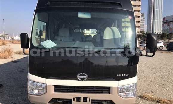 Buy Used Hino 300 Beige Truck in Beitbridge in Matabeleland South