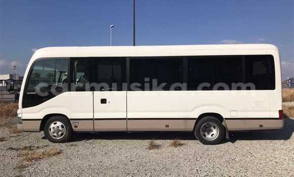 Buy Used Hino 300 Beige Truck in Beitbridge in Matabeleland South Buy Used Hino 300 Beige Truck in Beitbridge in Matabeleland South