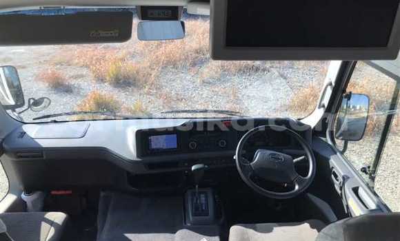 Buy Used Hino 300 Beige Truck in Beitbridge in Matabeleland South Buy Used Hino 300 Beige Truck in Beitbridge in Matabeleland South