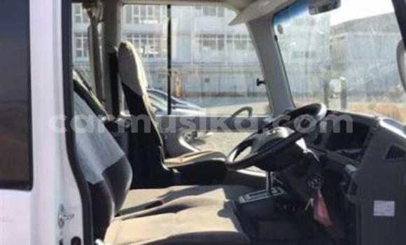 Buy Used Hino 300 Beige Truck in Beitbridge in Matabeleland South Buy Used Hino 300 Beige Truck in Beitbridge in Matabeleland South