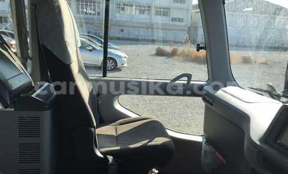 Buy Used Hino 300 Beige Truck in Beitbridge in Matabeleland South Buy Used Hino 300 Beige Truck in Beitbridge in Matabeleland South